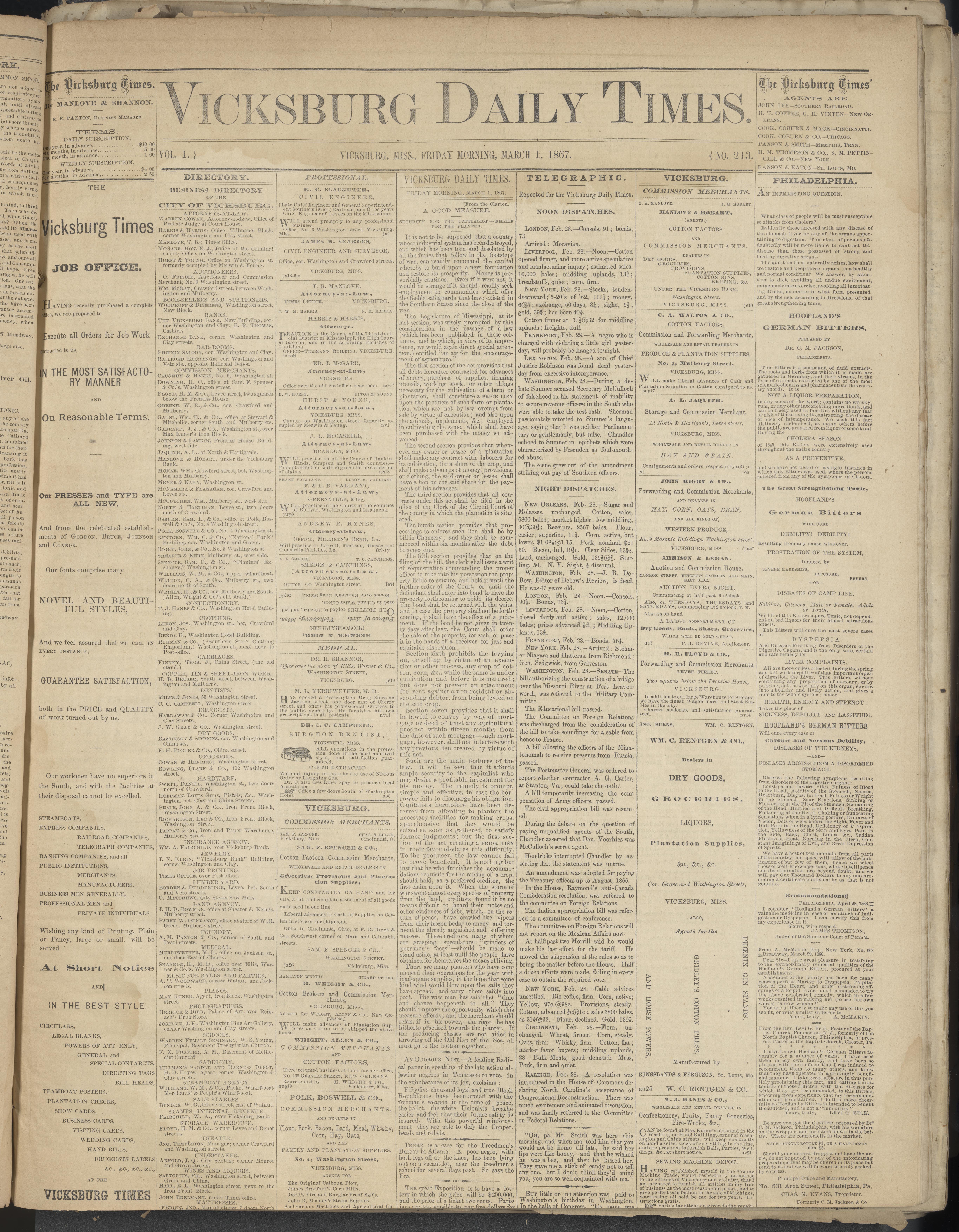 The Vicksburg Daily Times, Volume 1, Number 213